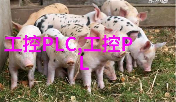 科学评价研究院推动科研质量的新引擎