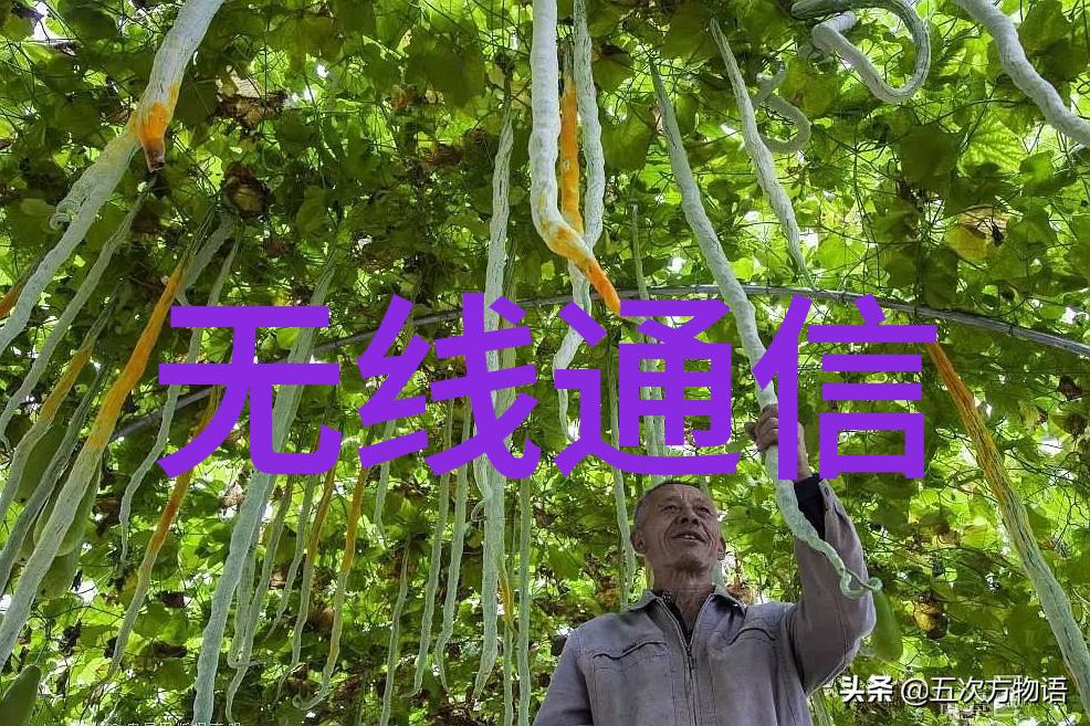 建筑先锋钢筋谱者的隐秘使命