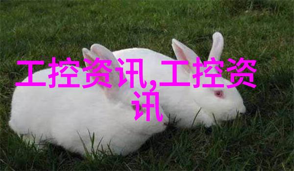 四四房播播揭秘隐匿在数字云端的虚拟居所