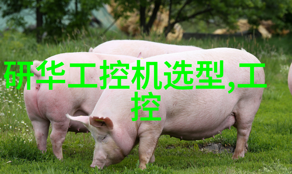姜可奇缘穿越时空的笔墨之旅