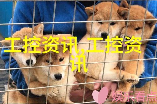 1吨燃气蒸汽发生器高效能工业用热水供应系统