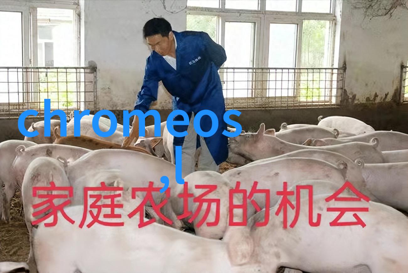 医疗设备-医院净水设备确保病房清洁健康的水源保障系统