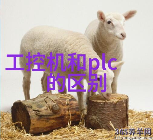 背后的秘密揭开出轨丈夫的迷雾