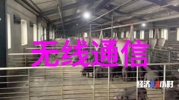 简约风格喷漆房设计现代感十足