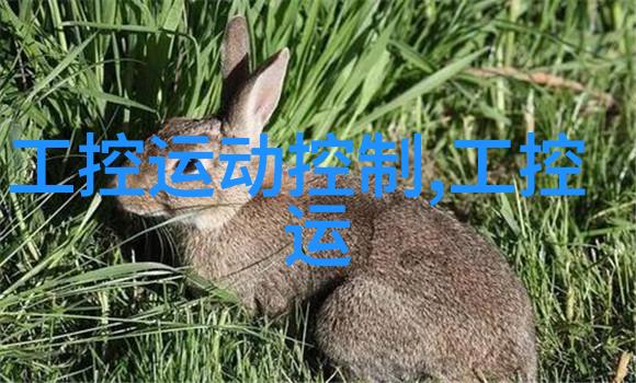 融合时尚与实用厨房餐厅共享空间的装修艺术