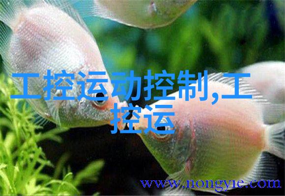 金属之脉20镀锌管6米的经济智慧探索