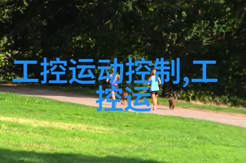 环填料是规整填料真的吗它能否完美融入每一个角落让空间焕然一新