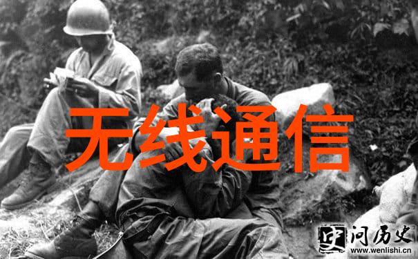 丝网波纹填料装填方式-细腻艺术探索丝网波纹填料装填的精髓
