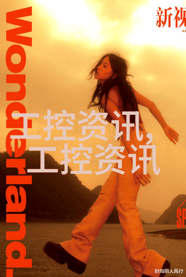 小型电热蒸汽发生器我是如何用它来烹饪出一道美味的蒸蛋的
