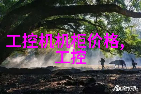 简约隔断材料选择与实用性评估以成本效益为中心的设计策略探究