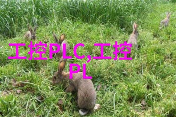 技术革新与市场需求未来看点 PVDF 管材行业发展