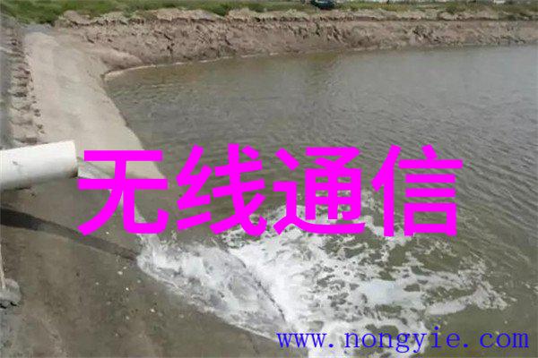 国内最大的汽配平台研究市场规模竞争格局与行业发展趋势分析