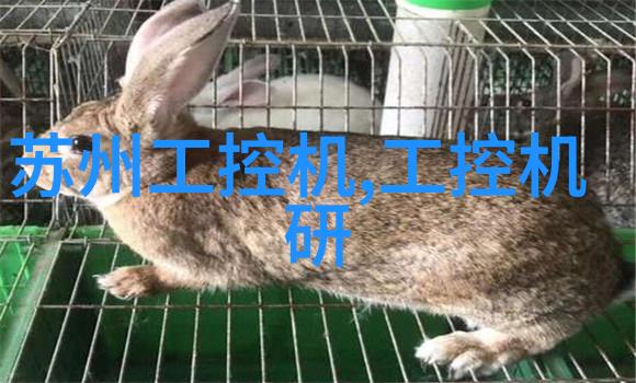 皮带输送机-连续搬运效率提升系统