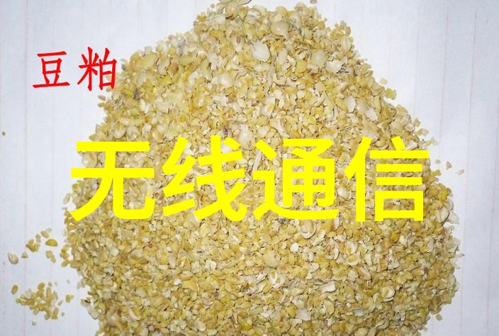 国产芯片新里程碑突破性技术开启自主可控新篇章