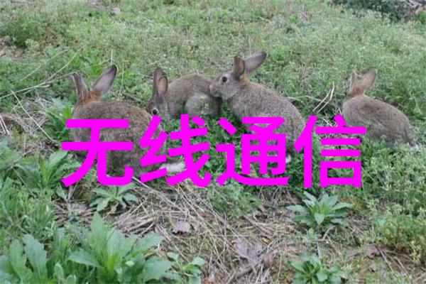 宁夏圣华化工设备有限公司探究其在现代化工技术创新中的作用与影响