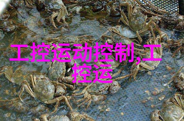 八五中药网 - 探索传统智慧八五中药网的健康之旅