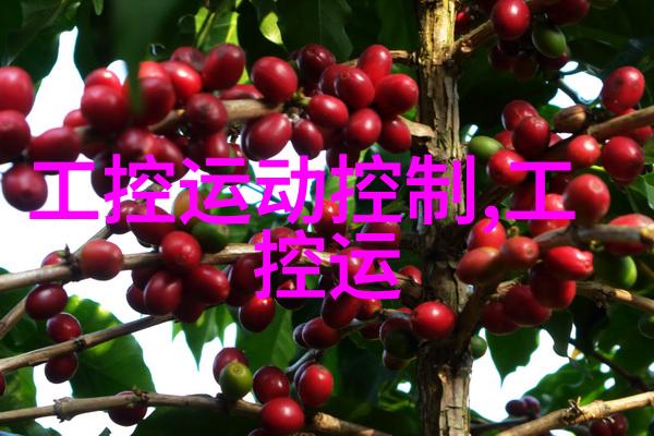 家居美化装修设计方案的创意指南