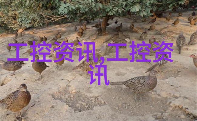 江山之上龙椅下权力与荣耀的交织篇章h87