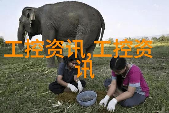 家居装修-精致生活从简约到奢华的家装设计探索