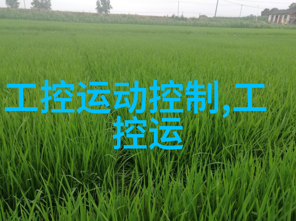 家居美学新趋势追逐时尚与舒适的完美结合