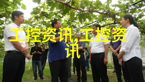 高效利用褐煤资源新型干燥技术的兴起与发展
