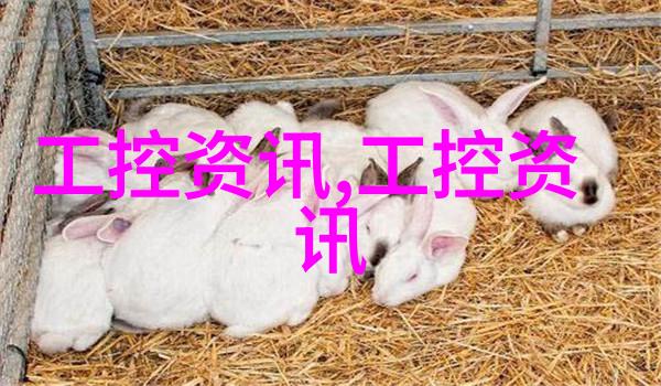 智能穿戴的意义和目的 - 智能追踪生活助手解析智能佩戴设备的核心价值