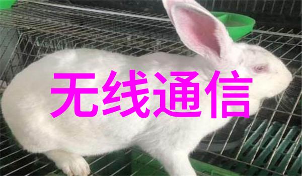 建筑装饰装修工程全过程内容室内外设计规划材料选择施工管理现场监督
