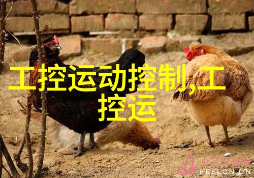 绿色生活如何正确回收电子设备