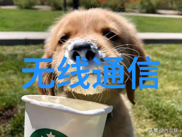 重生后我被帝君宠坏了我是怎样从平凡变成帝君宠儿的
