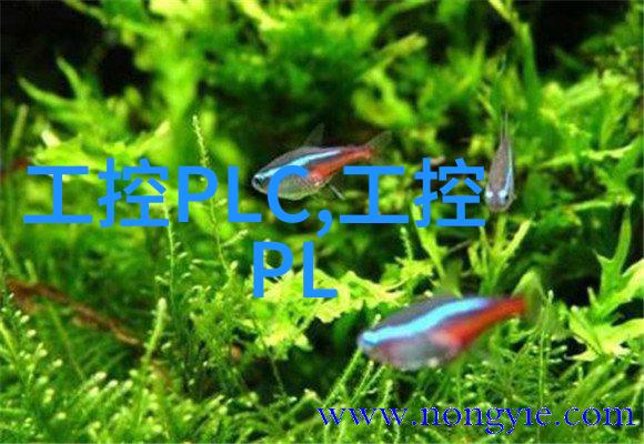 环境健康-井水发黄对人体有害吗揭秘土壤污染与饮用水安全