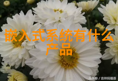 四川托普信息技术职业学院学霸们的编程奇遇