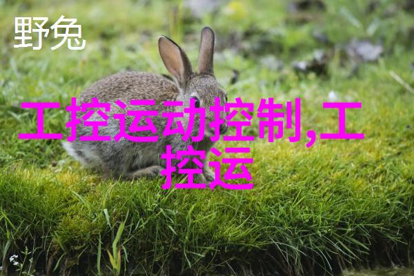 家居美学简约电视墙的艺术魅力