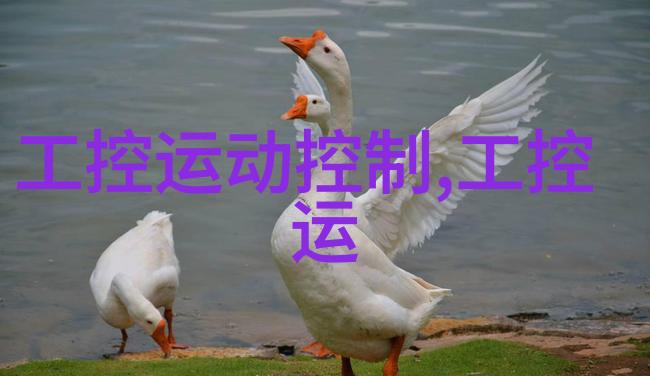 医院污水处理新解决方案小型医院污水处理一体机的应用与优势
