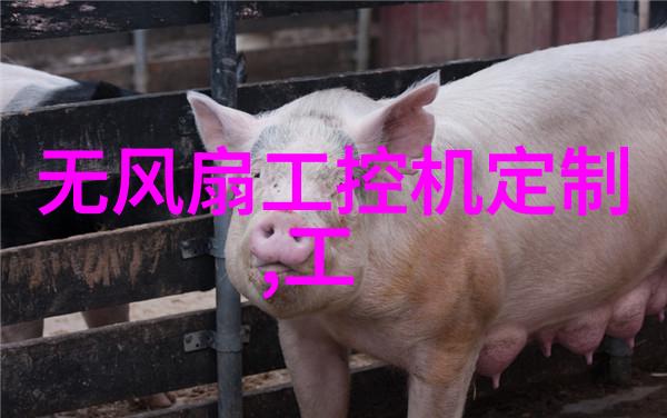 华北科技NOVO-7845销量如同征服高峰达30万片大关嵌入式领域中它是否更像是一位精通硬件技艺的匠