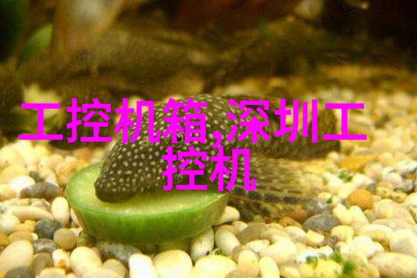 填料吸收塔的几种常用填料