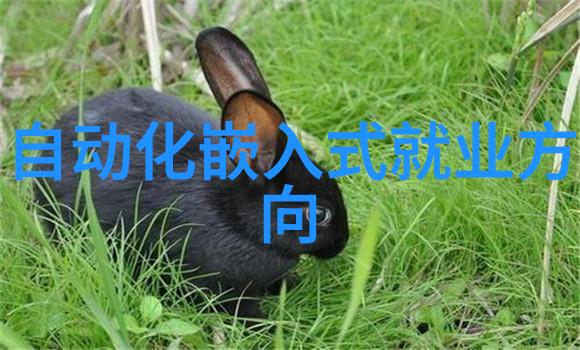 布袋除尘器堵灰的原因有哪些