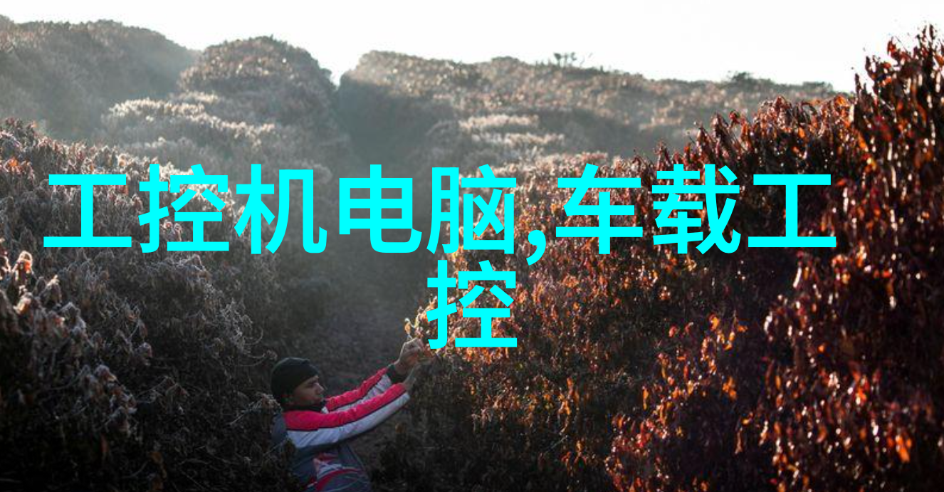 文学-垂涎小说揭秘书写诱惑的艺术