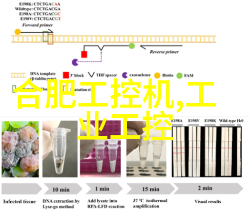 脉动的净化 ldb70 的抽象之旅