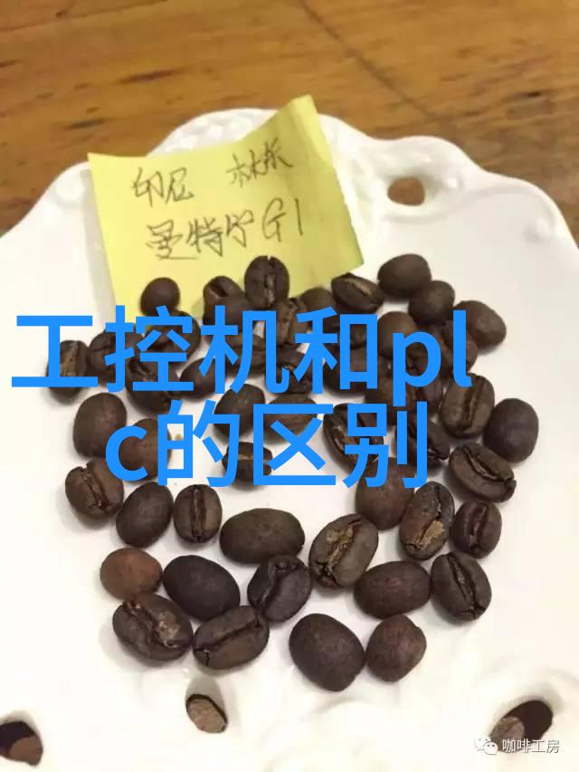 生活小技巧我是怎么用加热棒煮出一锅香气四溢的汤