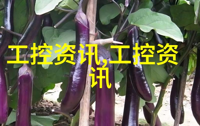 精心打造居家天堂房子装修设计的艺术与实用