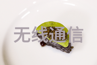 规整填料构建稳固的基石