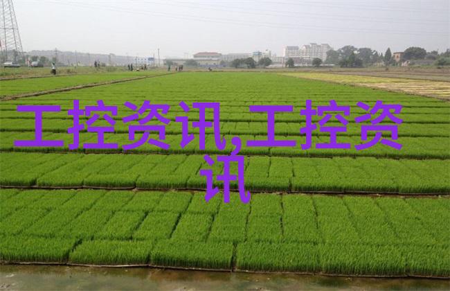 在雨季进行室内装修时需要注意哪些环节