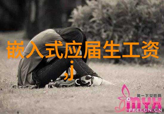 中央新风系统 - 空气新希望中央新风系统的运作与效益