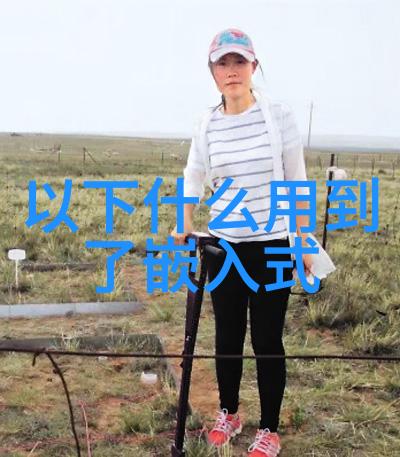 实用与创新并存不同应用领域所需的最佳实验室高压滅菌鍋型號是什麼