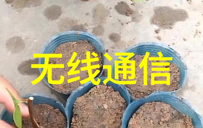 冷库制冷设备-高效能保鲜冷库制冷设备的选择与维护