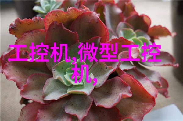 设备技术-超声波闪蒸干燥技术在食品加工中的应用与实践