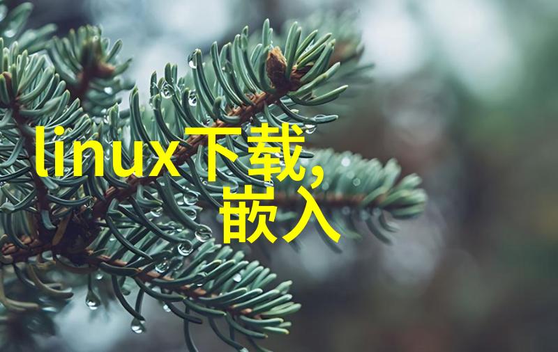 华北工控与Eicon公司的嵌入式未来之旅笑谈与展望会