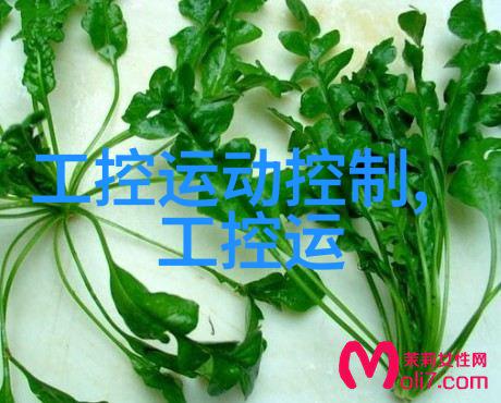 离心力与离心机实验室中的旋转世界