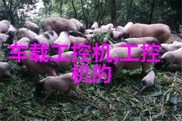高效能引导轮对提高皮带輸送機運轉穩定性研究