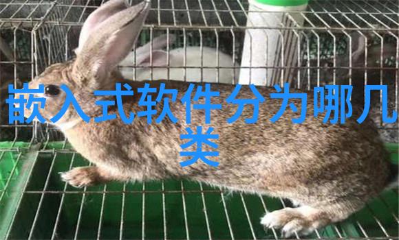 丝网填料750塔板我是如何把握关键环节让工程顺利进行的
